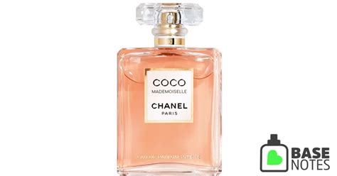 chanel coco basenotes|Chanel coco mademoiselle basenotes.